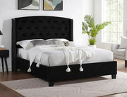 EVA King Bed Black Velvet image