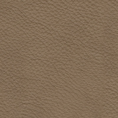 Veronella Double Chaise Sectional