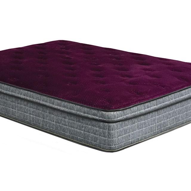 Minnetonka Purple 13" Euro Pillow Top Mattress, Cal.King