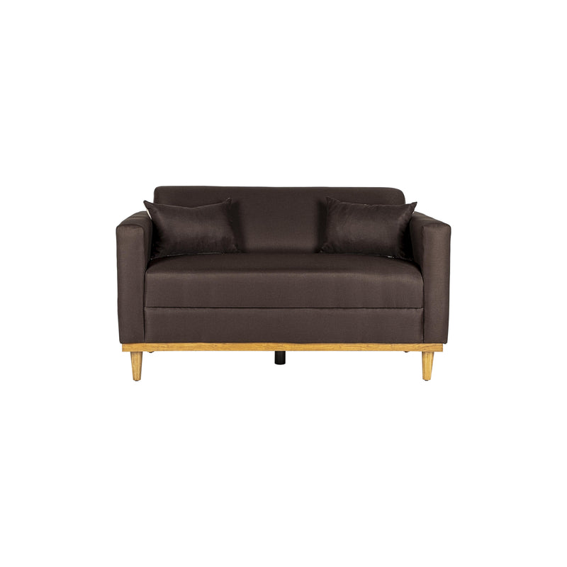 AIDEN LOVESEAT W/2 THROW PILLOWS-CHOCOLATE